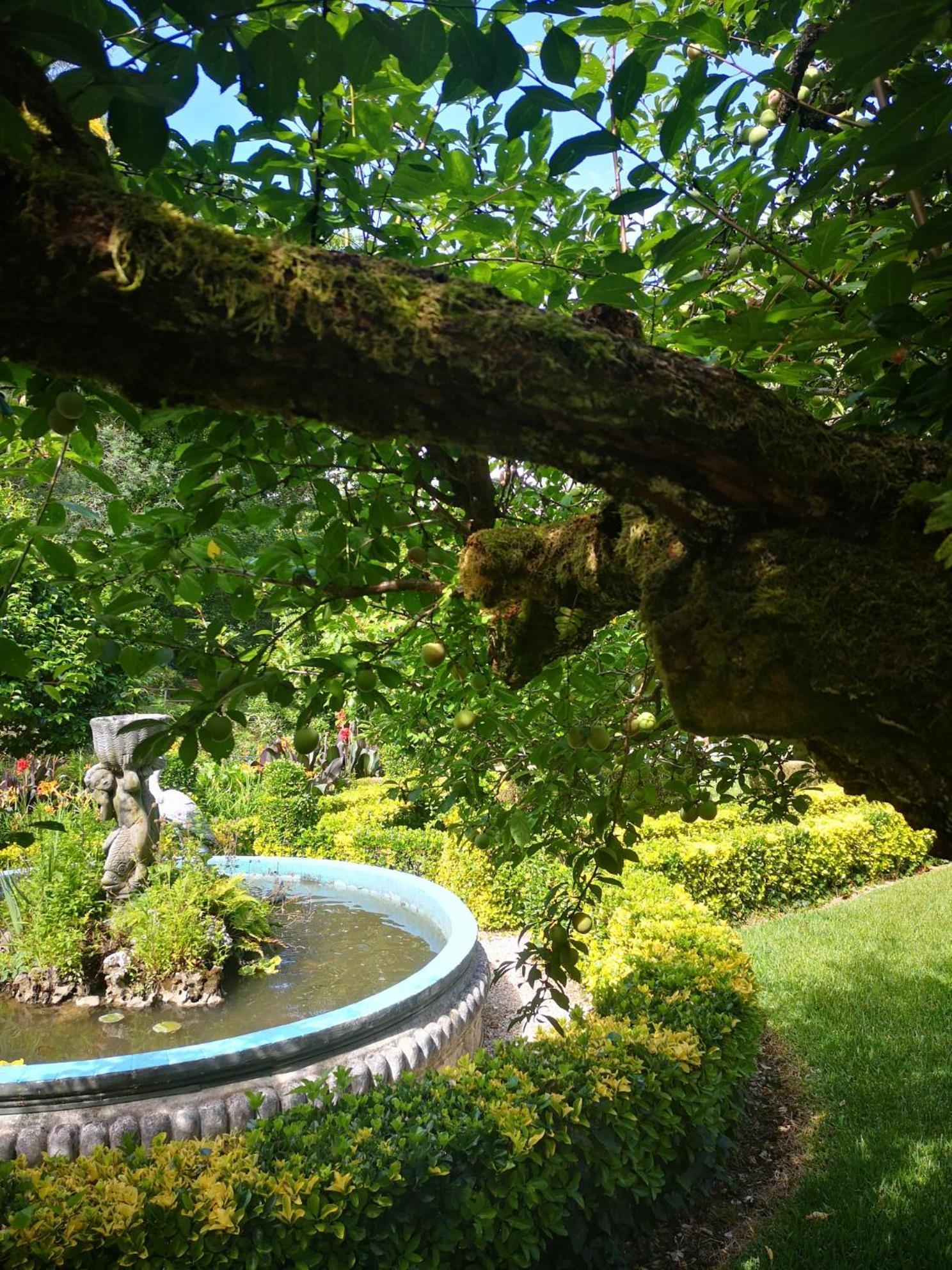 Quinta Das Aguias Aveiro Exterior photo